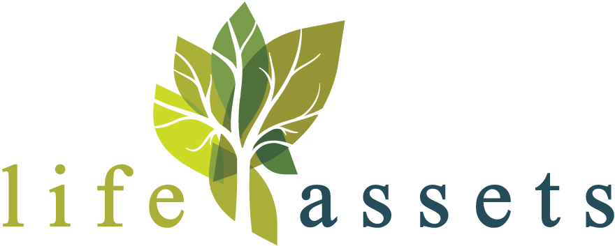 Life Assets logo.